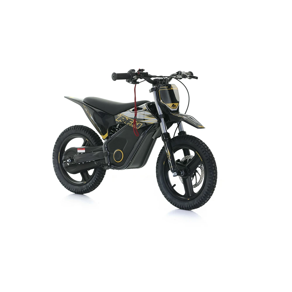 rfn-bike-elektrische-motorraeder-warrior-sx-e500-schwarz-6