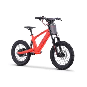rfn-bike-elektrische-laufraeder-rfn-EVO-Racing-18