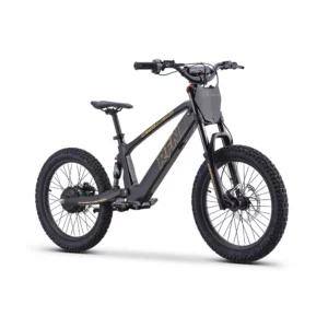 rfn-bike-elektrische-laufraeder-rfn-EVO-Racing-20-schwarz