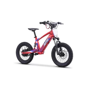 rfn-bike-elektrische-laufraeder-rfn-dna-16S