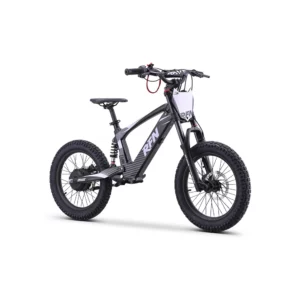 rfn-bike-elektrische-laufraeder-rfn-dna-18